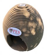 pesmojprijateljkucaobdelano